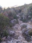P18-11-10_10.42.jpg