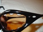 DSC01236.jpg