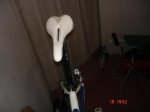 DSC03983.jpg