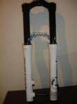 DSC04780 (Medium).JPG