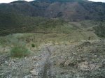 DSC00869.jpg