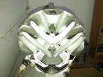 SNC00373.jpg