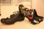 Sidi Dragon (4)_640x426.jpg