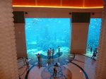 Dubai_058.JPG