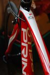 2009 Pinarello Prince 019.JPG