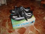 DSC03971.jpg