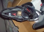 DSC00781.jpg