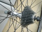 MAVIC 007.jpg