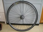 MAVIC 006.jpg