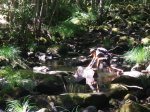 DSCF1179.jpg