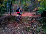 DSC00118.jpg