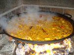 DSC08469.jpg