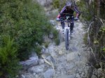 IMG00197-20101120-1017.jpg