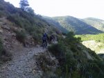 IMG00196-20101120-1013.jpg
