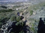 IMG00202-20101120-1056.jpg