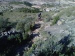 IMG00200-20101120-1056.jpg