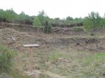 SDC10243.jpg