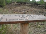 SDC10242.jpg