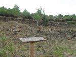 SDC10241.jpg