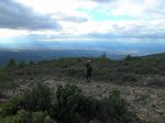 SDC10251.jpg