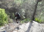 SDC10230.jpg
