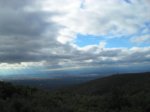 SDC10248.jpg