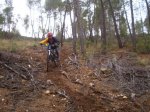 Bogarra 13-11-05 011.jpg