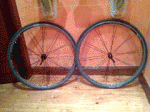 bontrager.gif