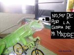 No soy Re.JPG
