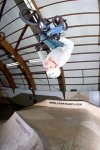 wilke_Flip[1].jpg