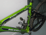 Imagen 016.gif