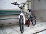 IMGP4317.JPG
