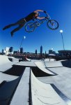pics_doyle_large_03.jpg