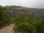 DSC00108.JPG