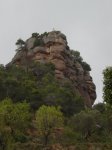 DSC00109.JPG