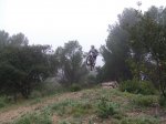 DSCF1102555555.JPG