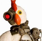 pollo_blanco_1.jpg