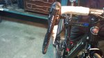 DSC00764.jpg