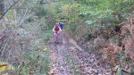 P1110410_redimensionar.jpg