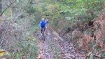 P1110415_redimensionar.jpg