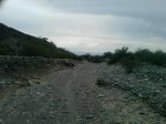 P201110_16.25.jpg