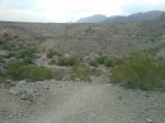 P201110_16.32.jpg