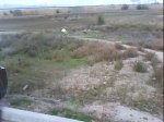 DSC00571.jpg