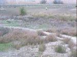 DSC00568.jpg