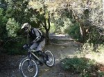 Tibo Sant ANdreu 11_2010 024.jpg