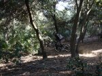 Tibo Sant ANdreu 11_2010 095.jpg