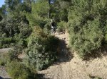 Tibo Sant ANdreu 11_2010 045.jpg