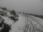 SDC11454.jpg