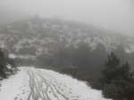 SDC11455.jpg