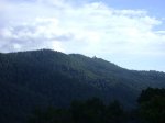 DSC03879.jpg